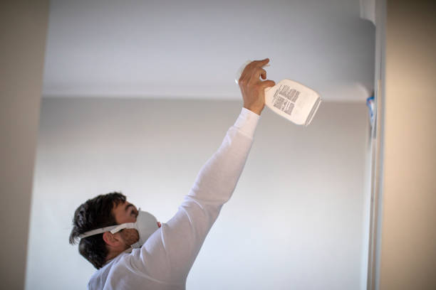 Best Certified Mold Removal  in Loogootee, IN