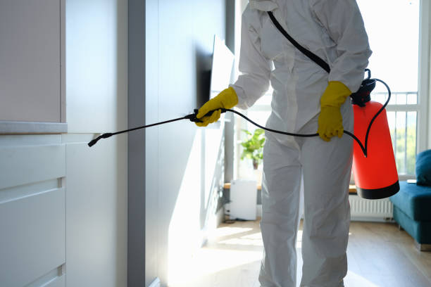 Water Damage Restoration in Loogootee, IN